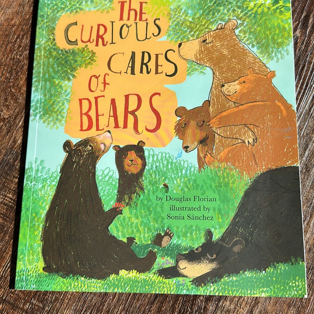 Various Bear Children’s Books